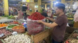 Harga Sembako 11 Juli 2026: Cabai Rawit Dan Telur Ayam Jadi Perhatian Utama! - Portalmadura.com Harga Sembako 11 Juli 2026: Cabai Rawit dan Telur Ayam Jadi Perhatian Utama!