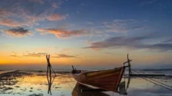 Pantai Nepa Sampang: Surga Ekowisata Tersembunyi Madura Dengan Hutan Kera Yang Memesona! - Portalmadura.com Pantai Nepa Sampang: Surga Ekowisata Tersembunyi Madura dengan Hutan Kera yang Memesona!
