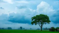 Cuaca Sampang 2 Juli 2026: Langit Cerah Berawan Dominasi Hari, Minim Potensi Hujan! - Portalmadura.com Cuaca Sampang 2 Juli 2026: Langit Cerah Berawan Dominasi Hari, Minim Potensi Hujan!