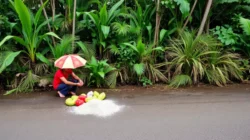 Cuaca Sumenep Hari Ini, 10 Juli 2026: Cerah Berawan, Waspada Angin Musim Kemarau! - Portalmadura.com Cuaca Sumenep Hari Ini, 10 Juli 2026: Cerah Berawan, Waspada Angin Musim Kemarau!
