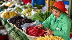 Update Harga Sembako 7 Juli 2026: Minyak Goreng Dan Cabai Merah Bergerak Naik, Simak Rincian Lengkapnya! - Portalmadura.com Update Harga Sembako 7 Juli 2026: Minyak Goreng dan Cabai Merah Bergerak Naik, Simak Rincian Lengkapnya!