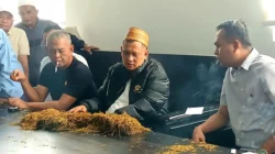 H. Her Buka Pembelian Tembakau 2026 Hingga Rp75 Ribu Per Kg, Petani Diingatkan Jangan Petik Daun Muda - Portalmadura.com H. Her Buka Pembelian Tembakau 2026 hingga Rp75 Ribu per Kg, Petani Diingatkan Jangan Petik Daun Muda
