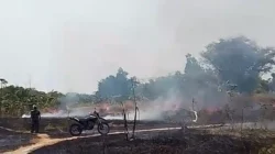 Waspada! 51 Kasus Kebakaran Landa Bangkalan Akibat Kemarau Ekstrem - Portalmadura.com Waspada! 51 Kasus Kebakaran Landa Bangkalan Akibat Kemarau Ekstrem