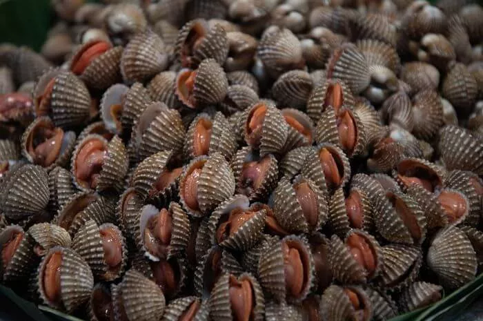 Bahaya Logam Berat Dalam Kerang