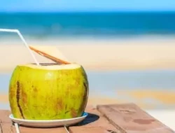 Manfaat Air Kelapa Hijau