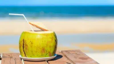 manfaat air kelapa hjau