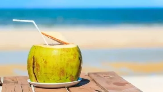 manfaat air kelapa hjau