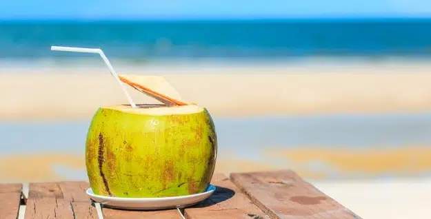 manfaat air kelapa hjau