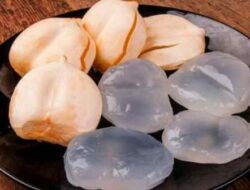 Kandungan Nutrisi dan Manfaat Buah Siwalan