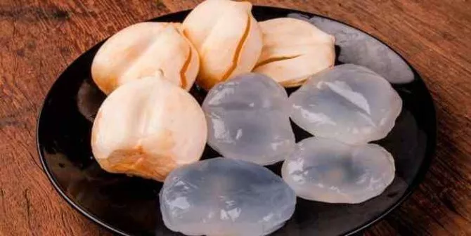 Kandungan Nutrisi dan Manfaat Buah Siwalan