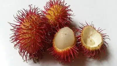 Segudang Manfaat Buah Rambutan Untuk Kesehatan Dan Kecantikan