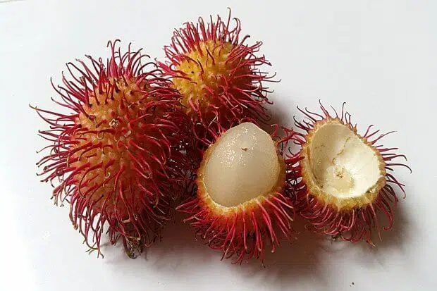 Segudang Manfaat Buah Rambutan Untuk Kesehatan Dan Kecantikan