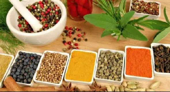 Obat-Tradisional-Penyubur-Kandungan
