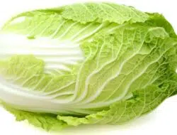 Ladies, Ini 4 Manfaat Kubis Untuk Kecantikan