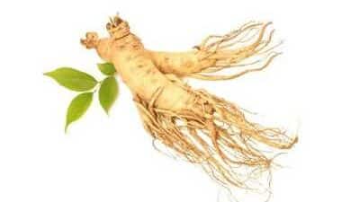 7 Fakta di Balik Khasiat Ginseng Bagi Tubuh