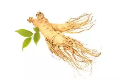 7 Fakta di Balik Khasiat Ginseng Bagi Tubuh