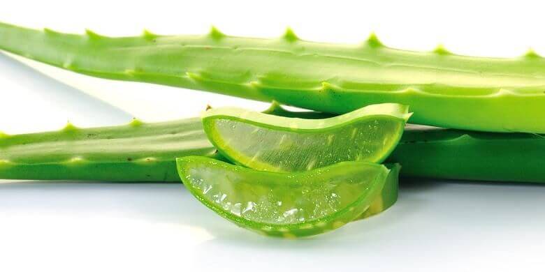 Manfaat Lidah Buaya untuk Kesehatan