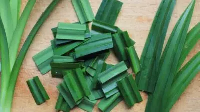 4 Khasiat Tersembunyi Daun Pandan Bagi Kecantikan