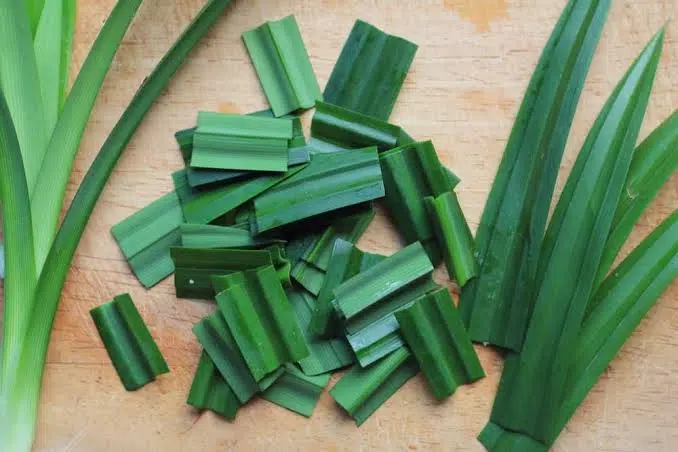 4 Khasiat Tersembunyi Daun Pandan Bagi Kecantikan