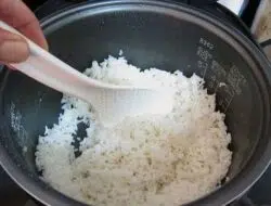 Hati-hati, Ini Bahaya Makan Nasi Sisa Kemarin yang Dihangatkan