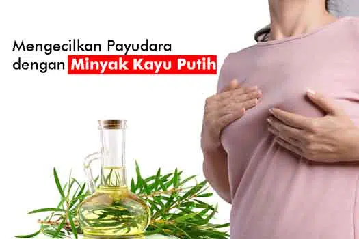 cara mengecilkan payudara dengan minyak kayu putih