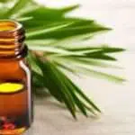 2 Manfaat Tea Tree Oil untuk Hilangkan Ketombe