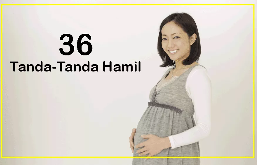 Tanda-tanda Hamil yang wajib kamu ketahui