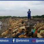 Ombak Setinggi 3 Meter Hancurkan Tanggul Sepanjang 200 Meter