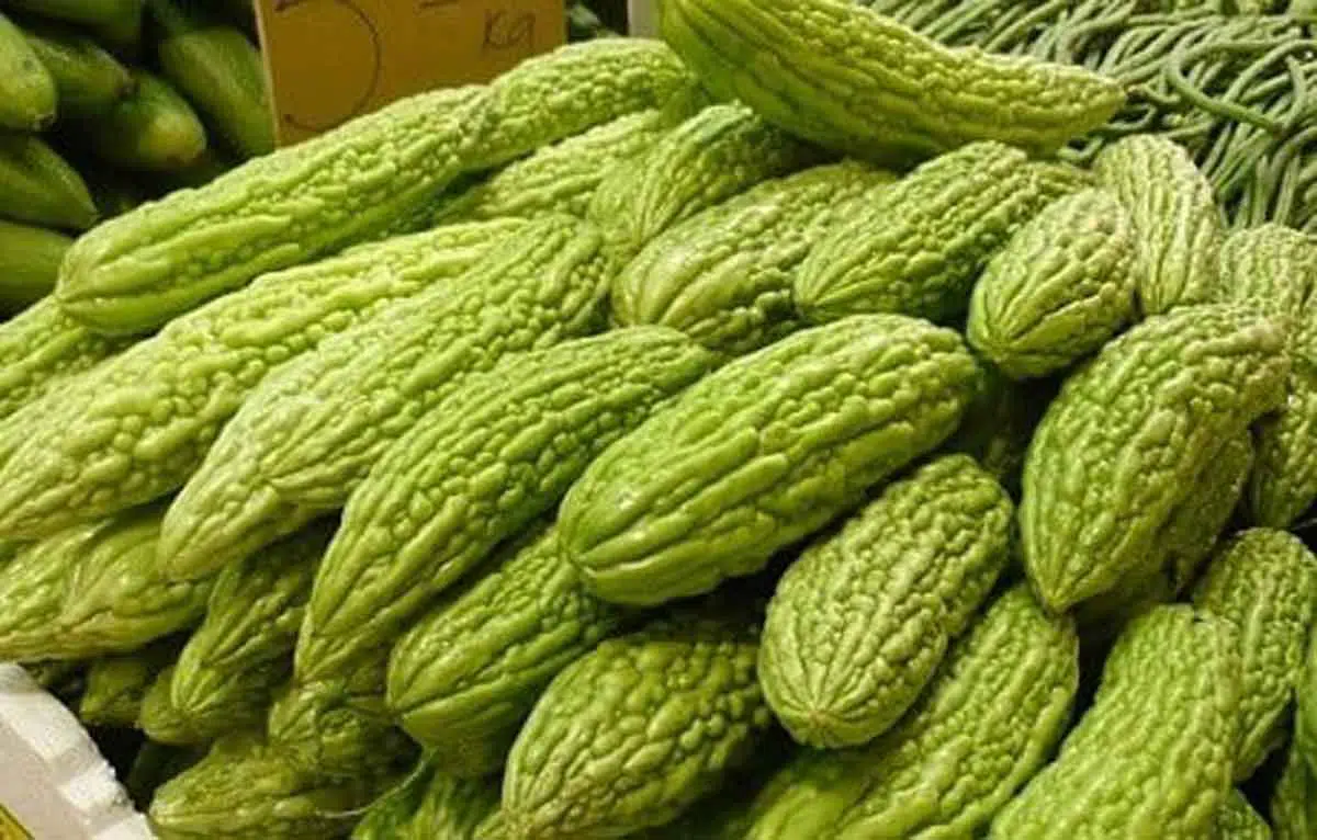 5 Manfaat Konsumsi Makanan Pahit Bagi Kesehatan