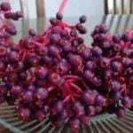 Bantu Cepat Hamil, Ini 5 Manfaat Lain Buah Parijoto Khas Gunung Muria