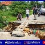 Gorong-gorong Penghubung Antar Desa di Pantura Pamekasan Ambles