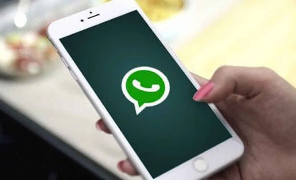 Guys, Begini Cara Mudah Cek Chat Anda di Grup WhatsApp Sudah Dibaca atau Belum