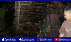 Kandang Terbakar, Dua Kambing Karapan Hangus Terpanggang