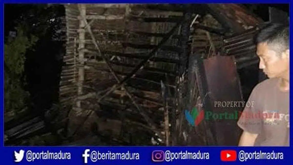 Kandang Terbakar, Dua Kambing Karapan Hangus Terpanggang