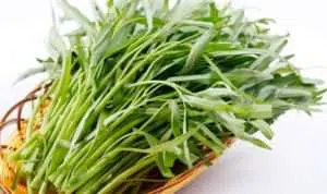 5 Cara Cerdas Menyimpan Kangkung Agar Tak Mudah Layu