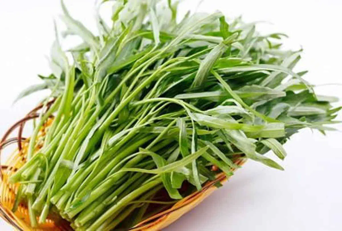 5 Cara Cerdas Menyimpan Kangkung Agar Tak Mudah Layu