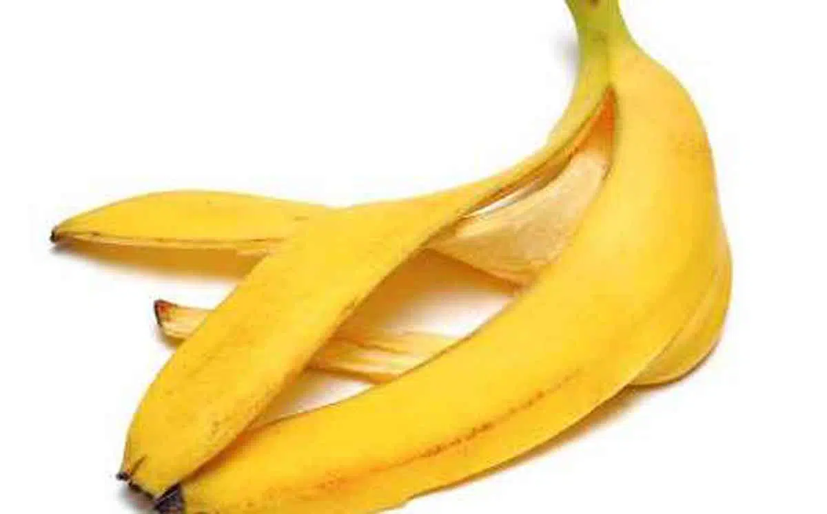 Jangan Dibuang, Ini 7 Manfaat Kulit Pisang bagi Kecantikan