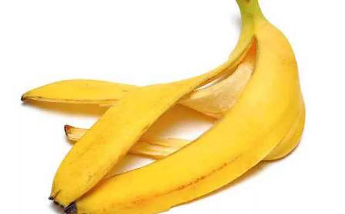 Jangan Dibuang, Ini 7 Manfaat Kulit Pisang bagi Kecantikan