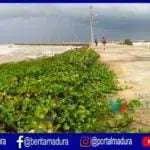 Miris! Selain Tak Difungsikan, Pelabuhan Nasional Batu Kerbuy Tak Terawat