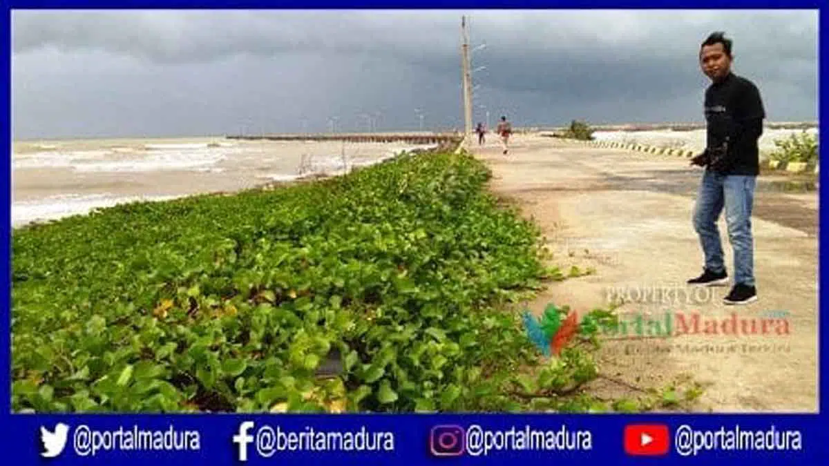 Miris! Selain Tak Difungsikan, Pelabuhan Nasional Batu Kerbuy Tak Terawat