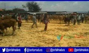 Warga Keluhkan Kondisi Pasar Hewan Sampang