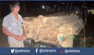 Polisi Sumenep Amankan Pelaku “Illegal Logging”