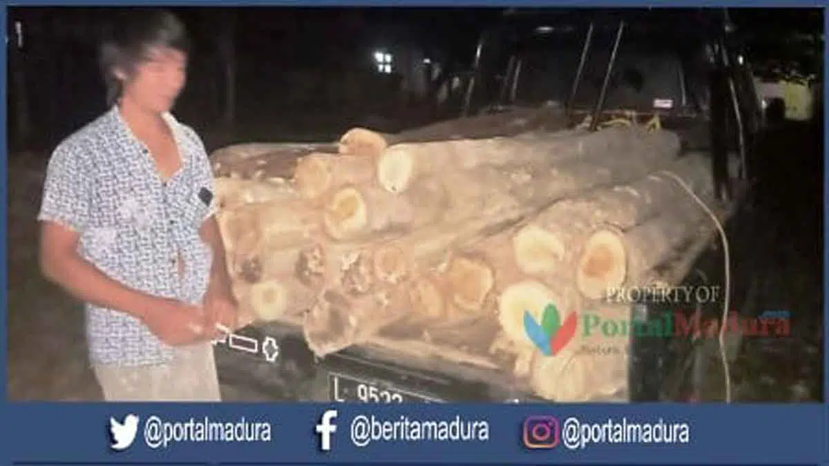 Polisi Sumenep Amankan Pelaku Ilegal Loging