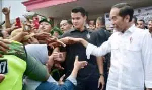 Presiden pastikan harga beras di pasaran stabil