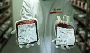 Stok Darah Golongan A di Pamekasan Menipis