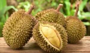 Studi: Ini Asal Usul Bau Tak Sedap pada Buah Durian