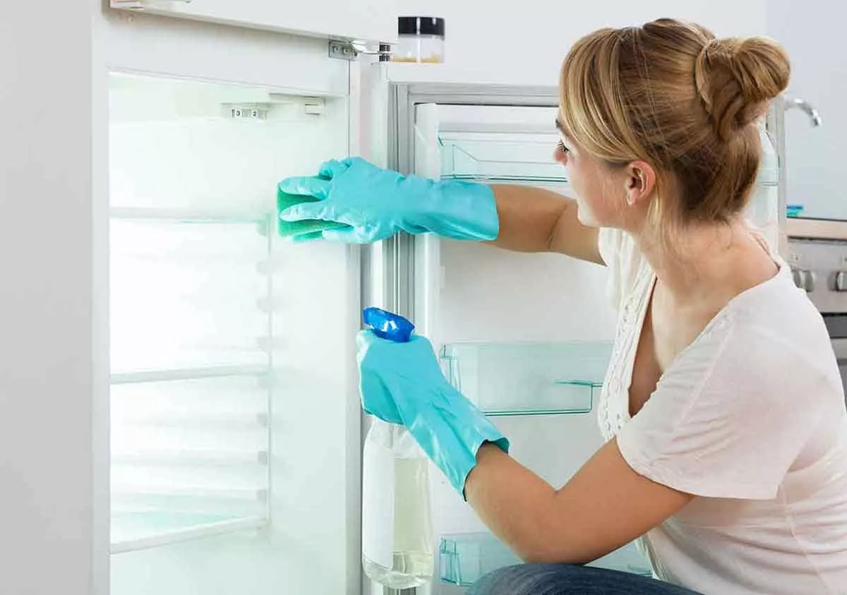 Moms, Tips Mudah Membersihkan Kulkas Agar Tidak Ada Bau