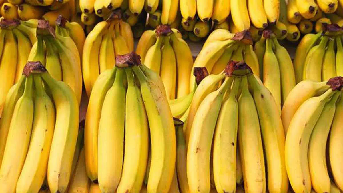 Kenali, 5 Manfaat Buah Pisang yang Baik Bagi Kesehatan
