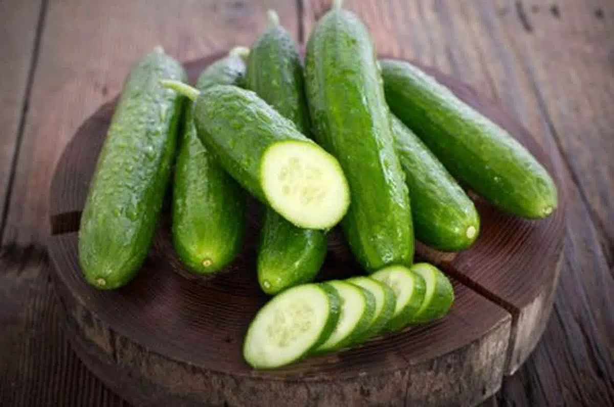 Tips Menyimpan Mentimun Agar Tidak Busuk dan Tahan Lama