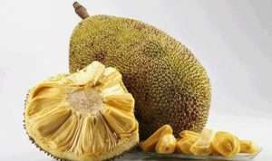 Jangan Sampai Salah, Perbedaan Buah Nangka dan Cempedak